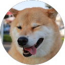Joe profile picture